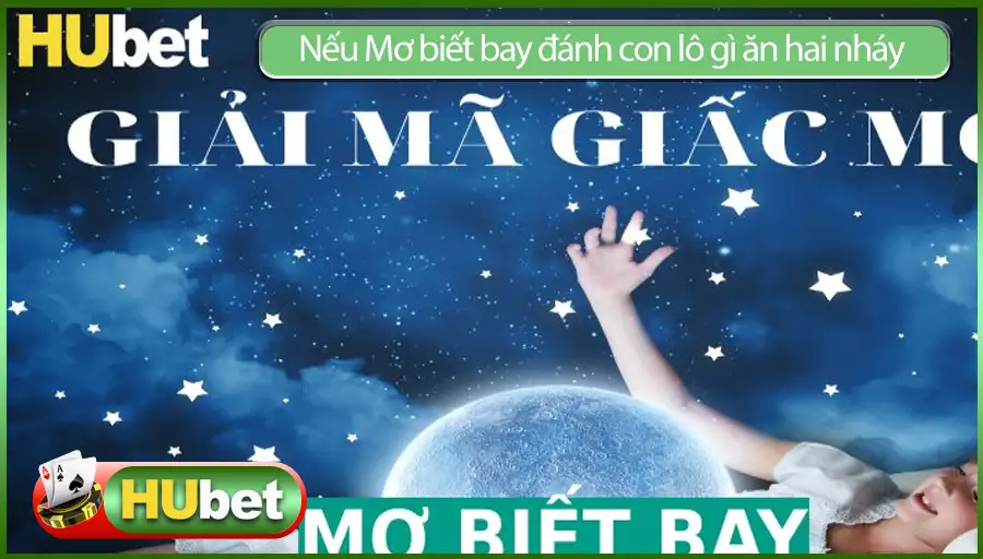 Mơ biết bay đánh lô gì ăn hai nháy ? Cách soi mới