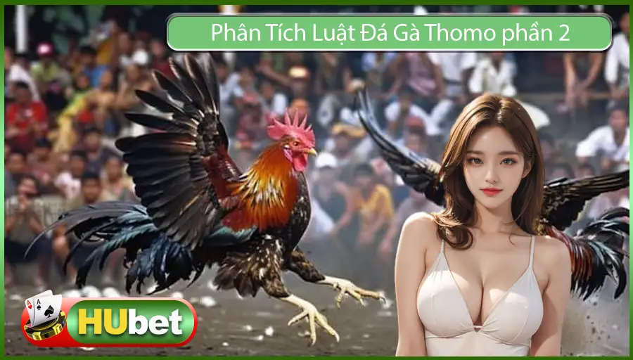 Phân Tích Luật Đá Gà Thomo – Những Thông Tin Cơ Bản Cần Biết